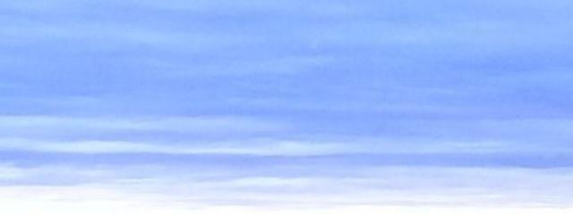 紫依さんの壁紙画像