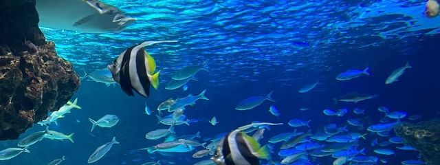 つーちゃんさんの壁紙画像