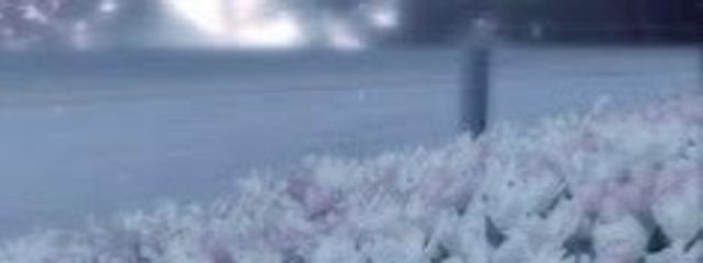 フレア@しばらく生きてないさんの壁紙画像