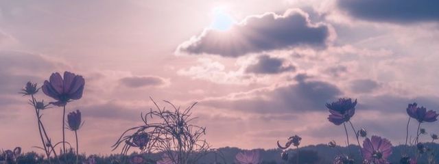 中村海人の財布さんの壁紙画像