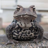 なーんさんのアイコン画像