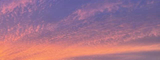 雨月。☂️さんの壁紙画像