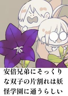 安倍兄弟にそっくりな双子の片割れは妖怪学園に通うらしい