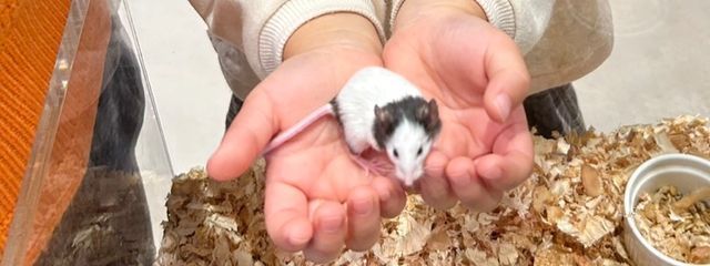 bgkさんの壁紙画像