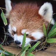 bgkさんのアイコン画像