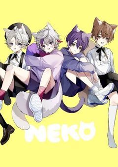 ろふまお、猫(？)拾いました