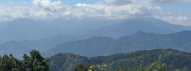 しろまろさんの壁紙画像