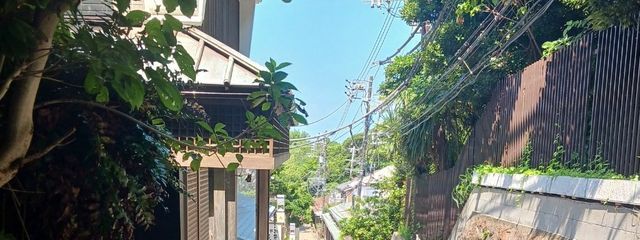 来世はきっとホオジロザメさんの壁紙画像