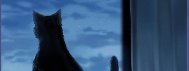 鮫蓏⛓️🦈さんの壁紙画像