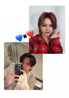 冷酷な犬と人見知りな猫