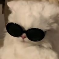 れこあさんのアイコン画像