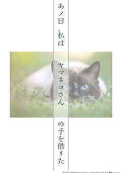 あノ日、私は  ヤマネコさん  の手を借 リた