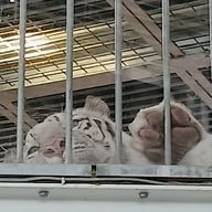 ユーザーページへ