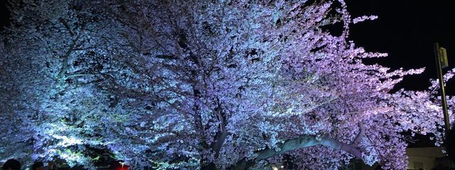 わにさんの壁紙画像