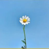 Kojiya _01さんのアイコン画像