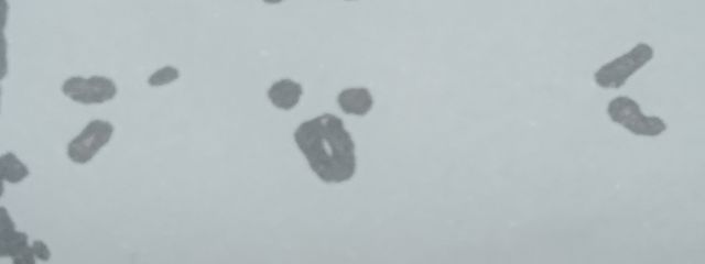 ましゅうさんの壁紙画像