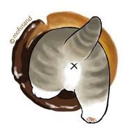 Kameさんのアイコン画像