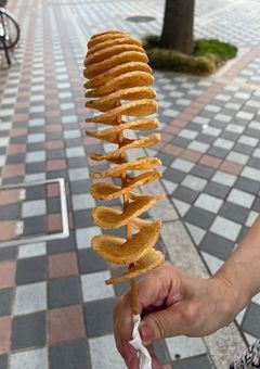 凪沙王