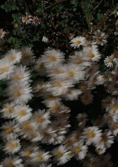 御伽話の証明を