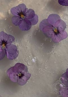 絶対逆ハーにする世界VS百合厨女