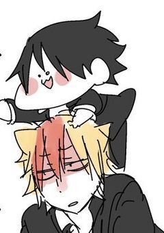 動物妖怪には懐かれる