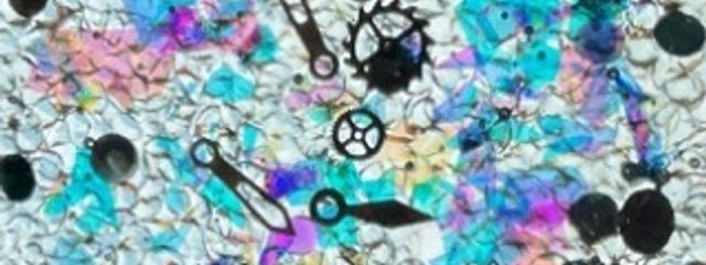 時鞍鈴さんの壁紙画像