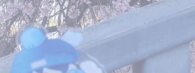 　卍 相棒chu 卍さんの壁紙画像