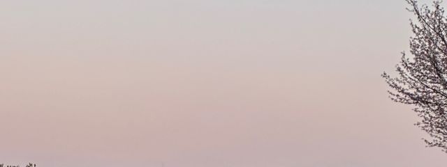 おにぎり大魔王さんの壁紙画像