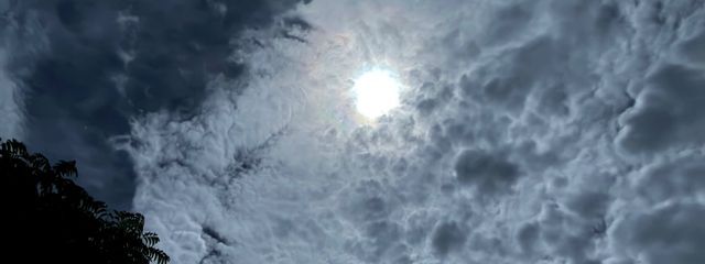 ツキさんの壁紙画像