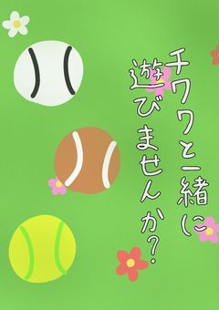 【P】チワワと一緒に遊びませんか?