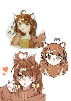 【P】チワワのお部屋
