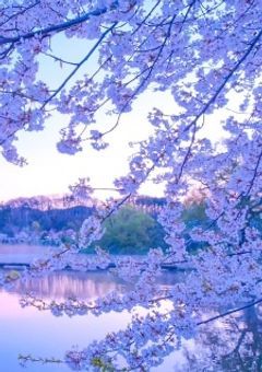 さぁ 、  冒険 を 初  めよ ぅ っ！！