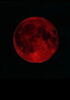 転生したら日本のお手伝いさんになった件について