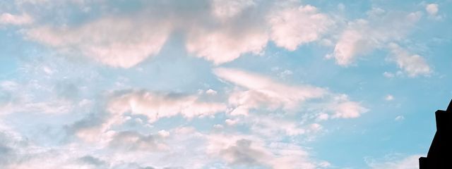 こあさんの壁紙画像