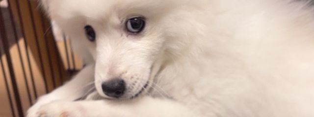 O・Yさんの壁紙画像