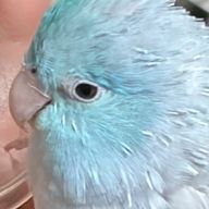 O・Yさんのアイコン画像