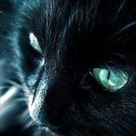 〚梵 藤葉𓏢〛さんのアイコン画像