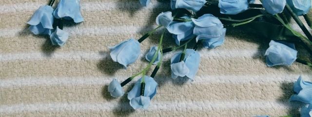 otoさんの壁紙画像