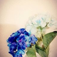 otoさんのアイコン画像