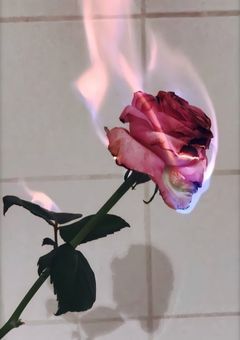 𝘔𝘺 𝘯𝘢𝘮𝘦 𝘪𝘴 " 𝘺𝘰𝘶 "