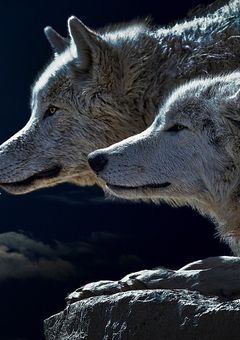 陽キャ撲滅同盟