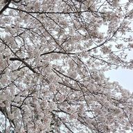 かたさんのアイコン画像