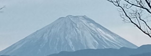 萱野　凜香さんの壁紙画像