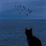 天音さんのアイコン画像