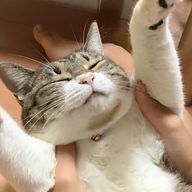 馬さんのアイコン画像