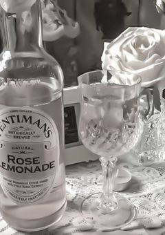 ︎✦︎　🗣talk room .　︎✦︎