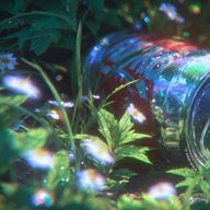 黎紀. @🥼💻🌀‪さんのアイコン画像