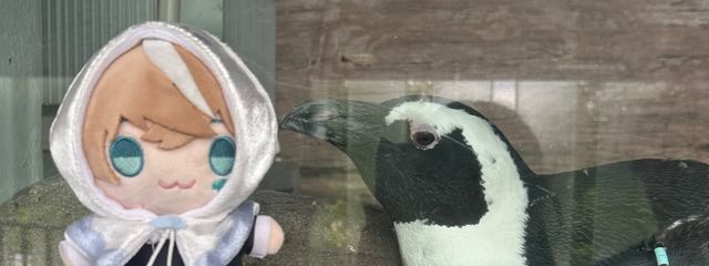 🪼海乃  月🫧 @めろりす🈂️🔥さんの壁紙画像