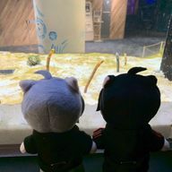 🪼海乃  月🫧 @めろりす🈂️🔥さんのアイコン画像