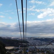 きなこさんのアイコン画像